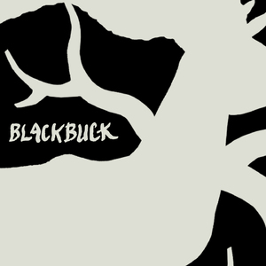 Blackbuck