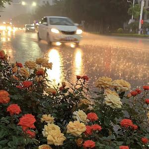 【FREE】lucky(BGM)