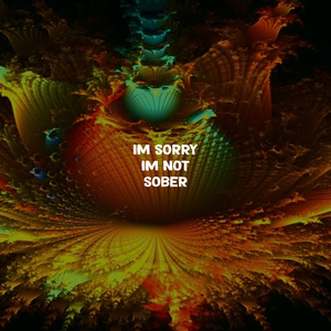 I'm Sorry I'm Not Sober