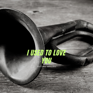 You Made Me Love You