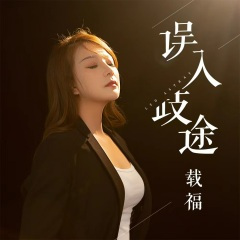 误入歧途 (DJ版)