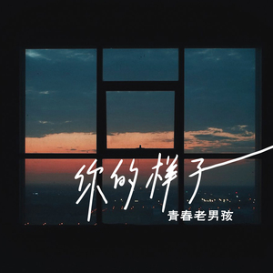 你的样子 (散步舞dj)