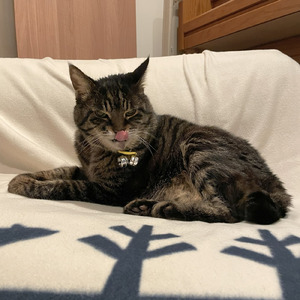 本物のご馳走 (JAGA RECORDS mix)