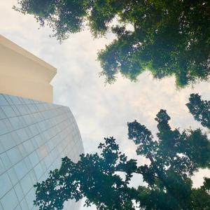 童话故事里都是骗人的