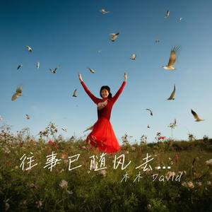 往事已随风去 DJ版