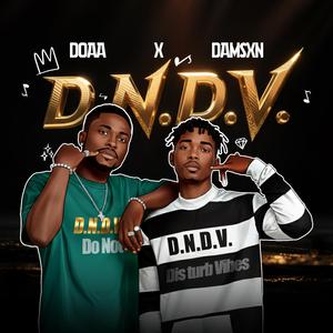 D. N. D. V (Do not disturb vibe)