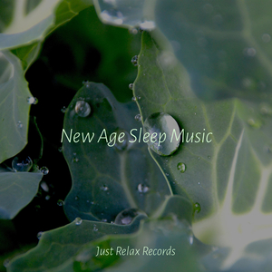 Shifting Visions Within