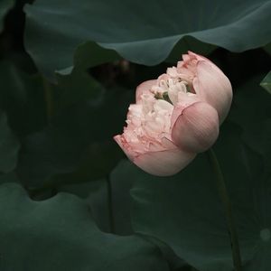 【售罄】“望荷亭” "自立巷" Asen Gunna Type Beat