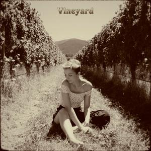 Vineyard