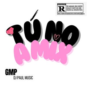 Tu no amix