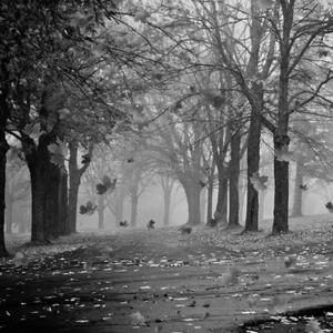 虎口脱险（翻自 ZL）