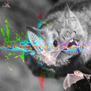 Caves (feat. ****mep$ylence!)