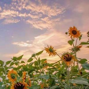 Love（prod.tired × helpisleet）