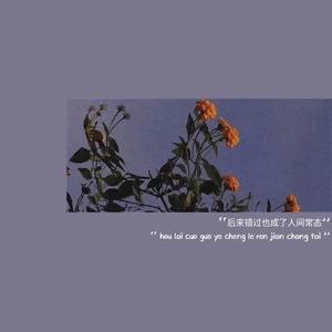 我走后（抖音段）