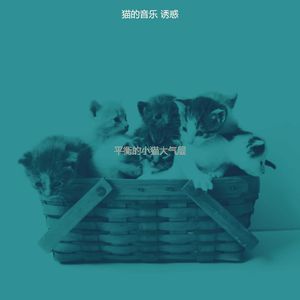 微妙的放松的猫心情