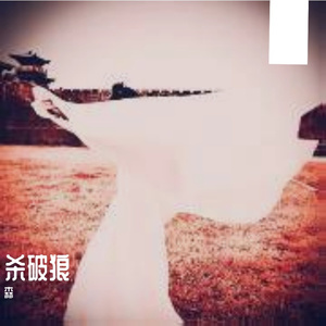 杀破狼