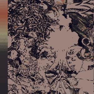 #palindromloopspooldar