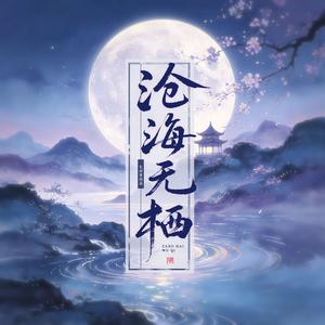沧海无栖
