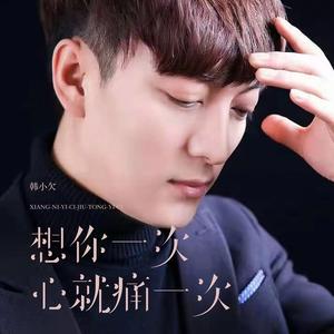想你一次心就痛一次 (DJ范小松版)
