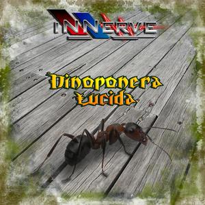 Dinoponera Lucida (Original Motion Picture Soundtrack)