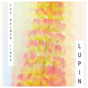 Lupin