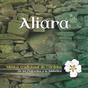 Paso el río, paso el puente