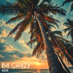 Im Crazy