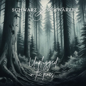 Scallywags (Unplugged)
