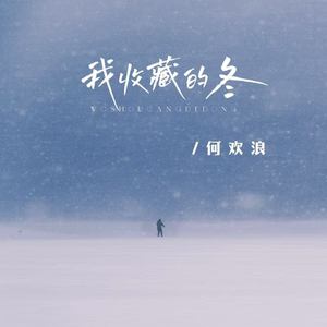 我收藏的冬