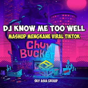 DJ KNOW ME TOO WELL MASHUP MENGKANE