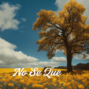 No Se Que
