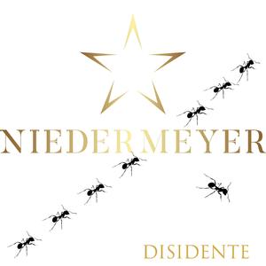 DISIDENTE