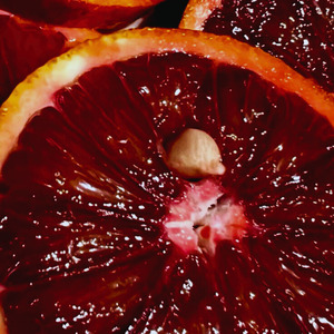 Solita ( Latin House )