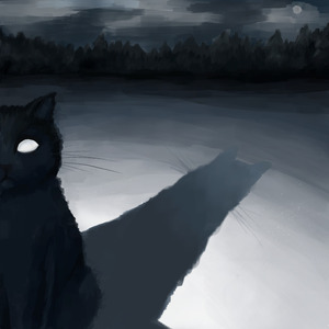 тени на снегу