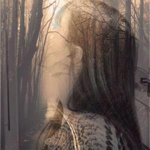 分手吧，泥女士（翻自 秦凡淇）