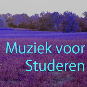 Muziek voor Studeren 4
