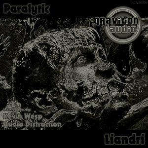 Liandri (Audio Distraction Remix)