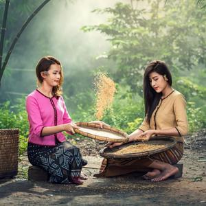 Suling Merdu Gapura Cinta