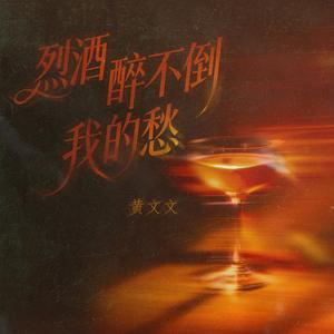 烈酒醉不倒我的愁