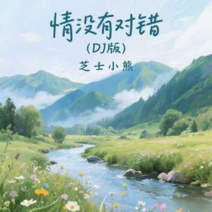 情没有对错(DJ版)