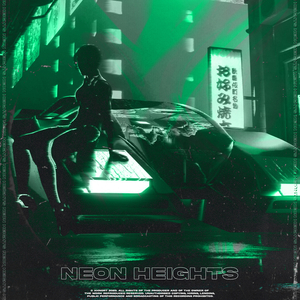 NEON HEIGHTS