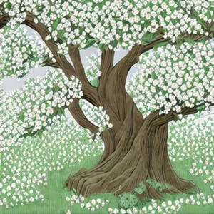 梨花又开放