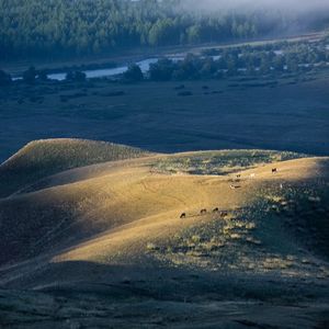 《Reverberated Electr05