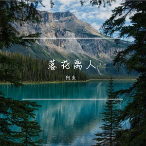 落花离人