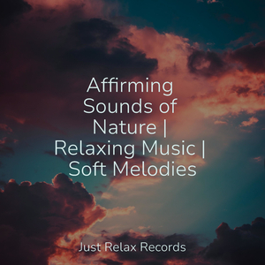 Shower of Petal Tears