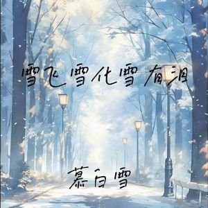 雪飞雪化雪有泪
