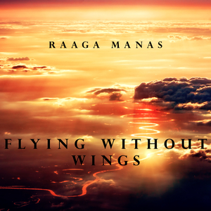 Flying Without Wings