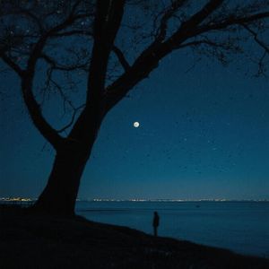 微风送意随心舞