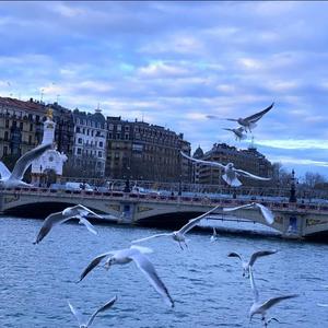 Hoaprox-Hoaprox - Ngẫu Hng _（苦尽甘来 remix）