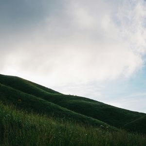 空独行